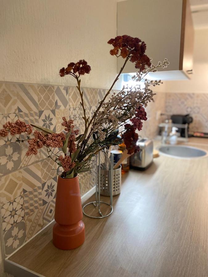 Les Cosy De Nancy - Le Duplex Vintage 4* Apartment Ngoại thất bức ảnh